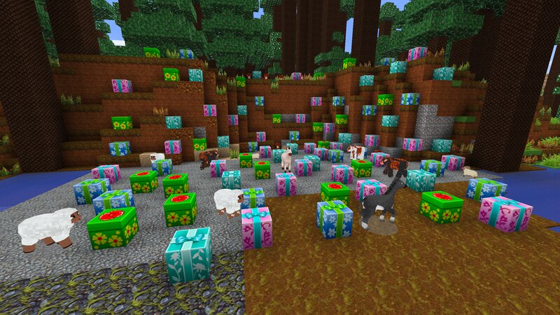 Sheep and Gifts in Forest