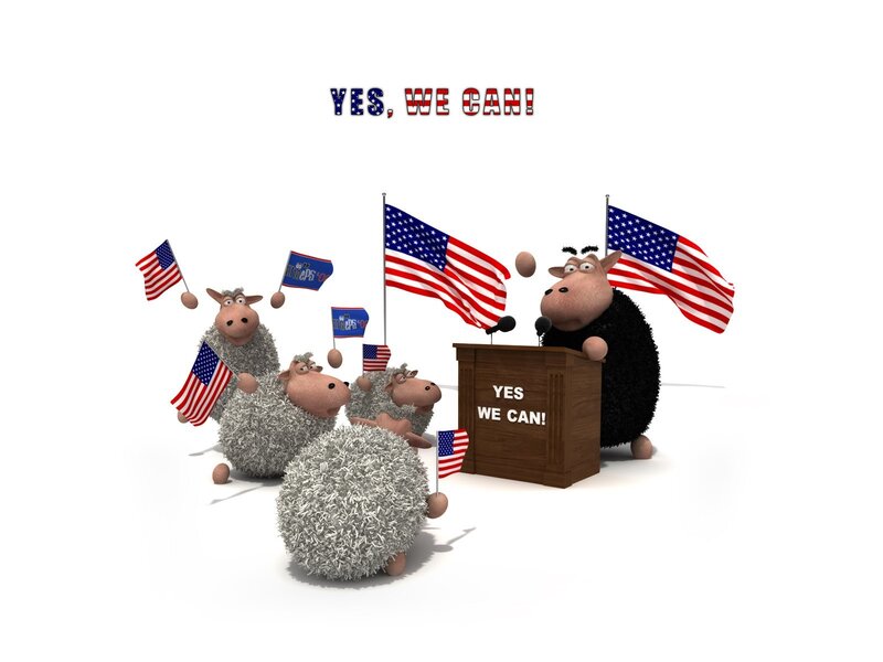 Sheep at Rally