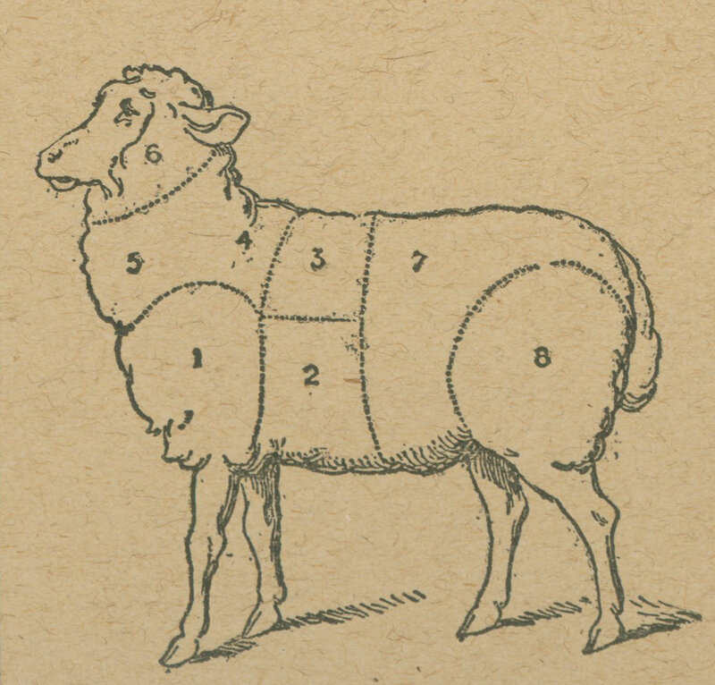 sheep butchering diagram