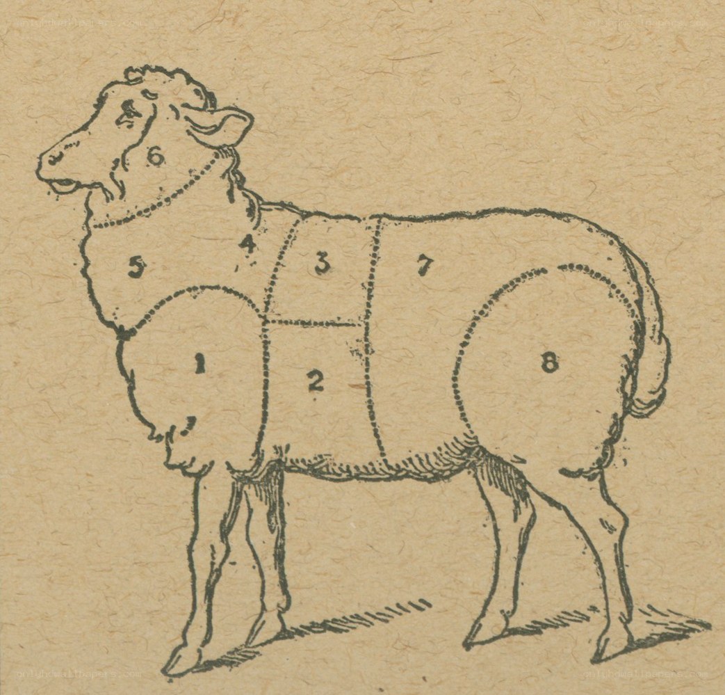 sheep butchering diagram