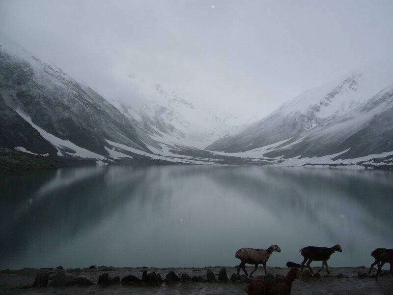 Sheep by a mountain lake