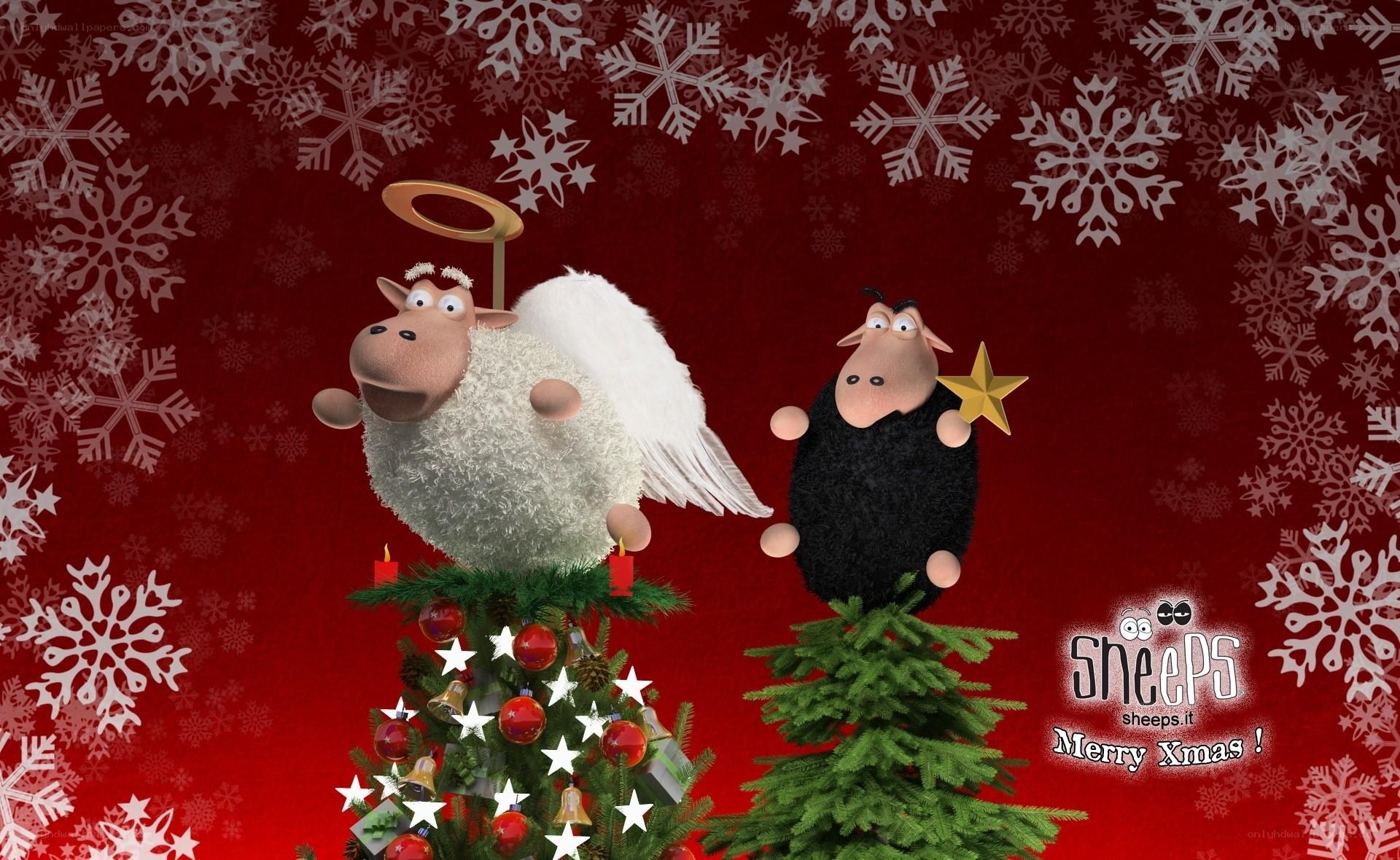 Sheep Christmas scene