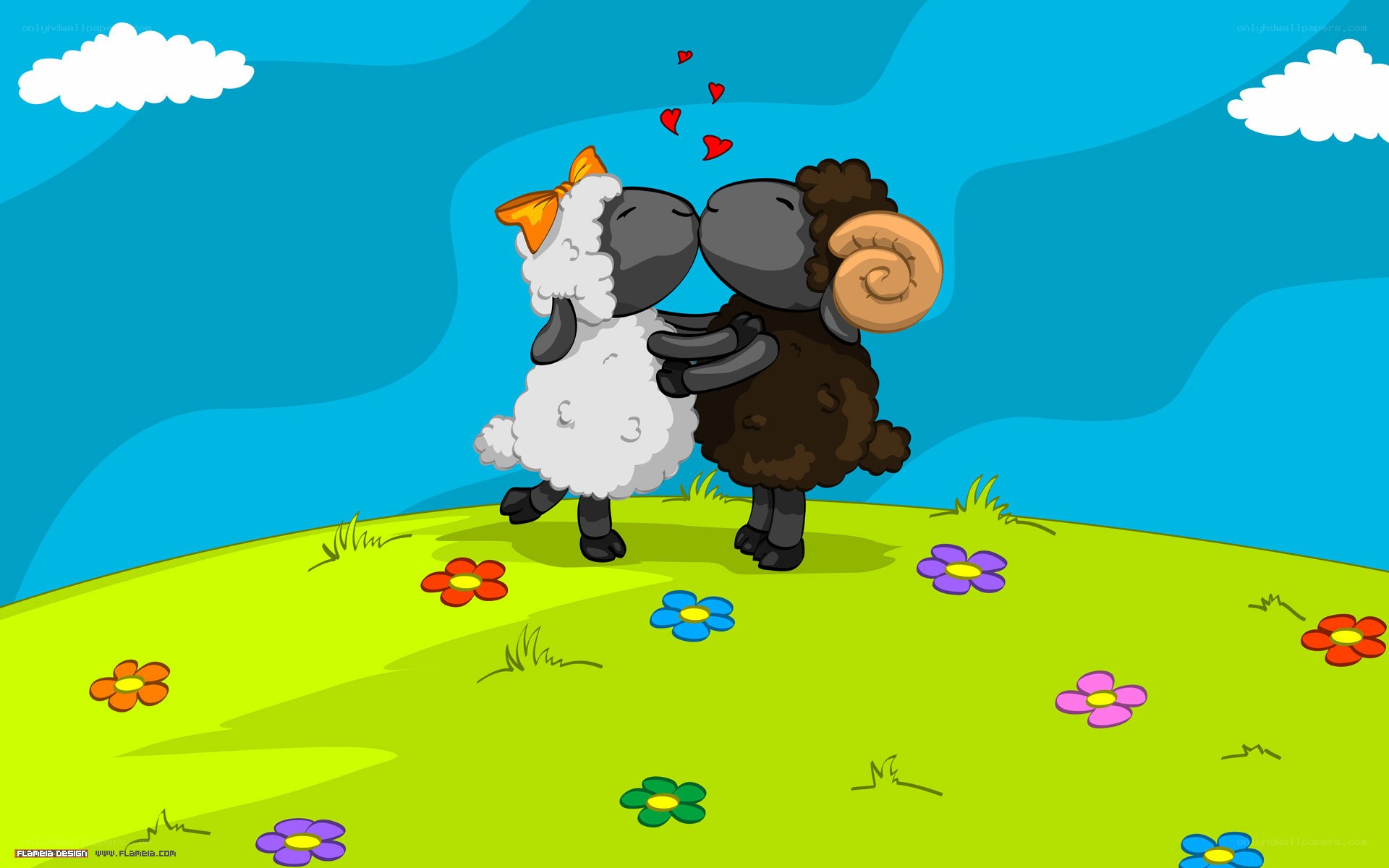 sheep couple in love