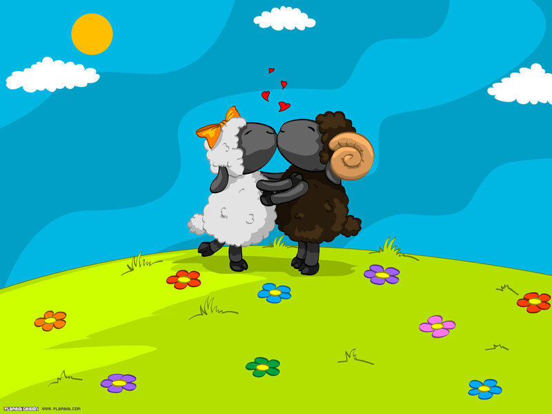 sheep couple in love