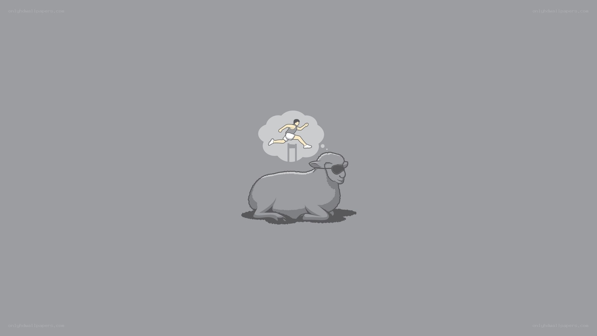sheep dreaming of cricket
