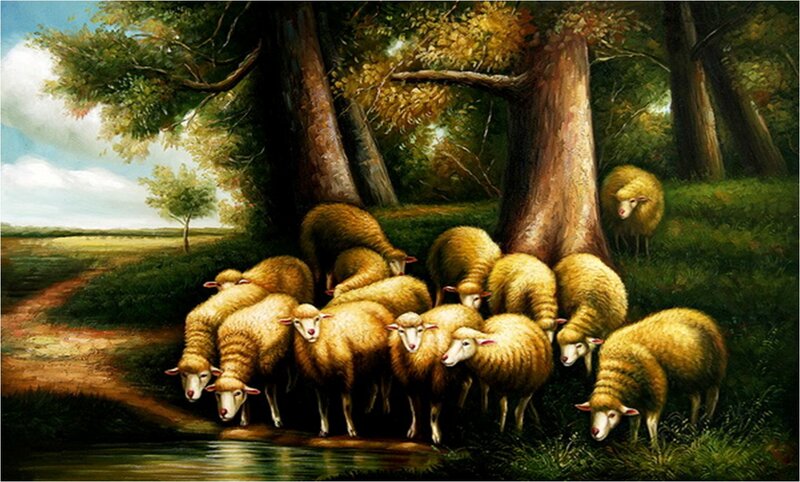 Sheep Drinking Water