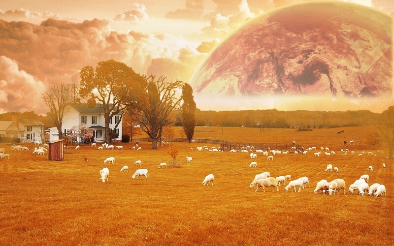 Sheep farm with alien planet