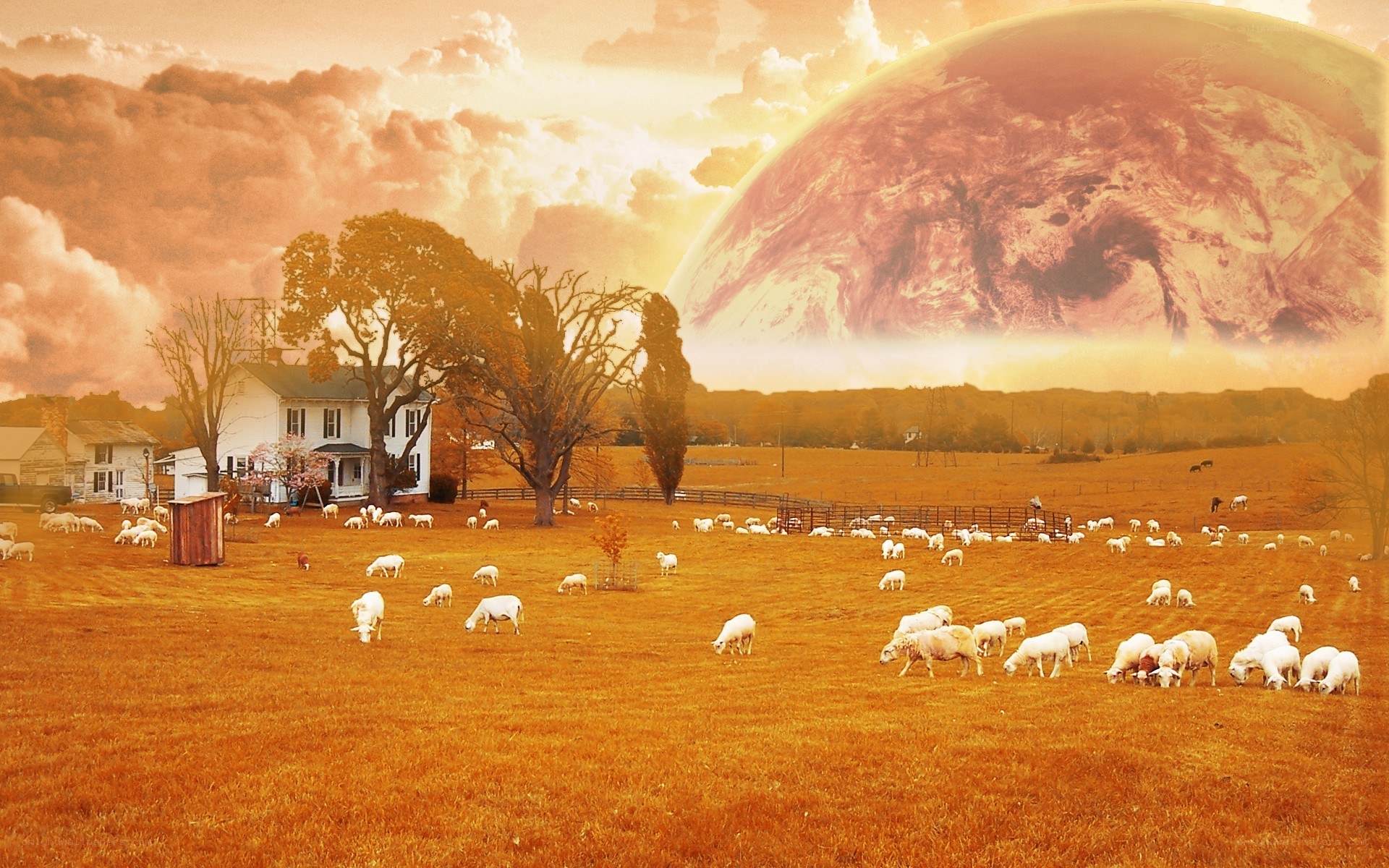 Sheep farm with alien planet