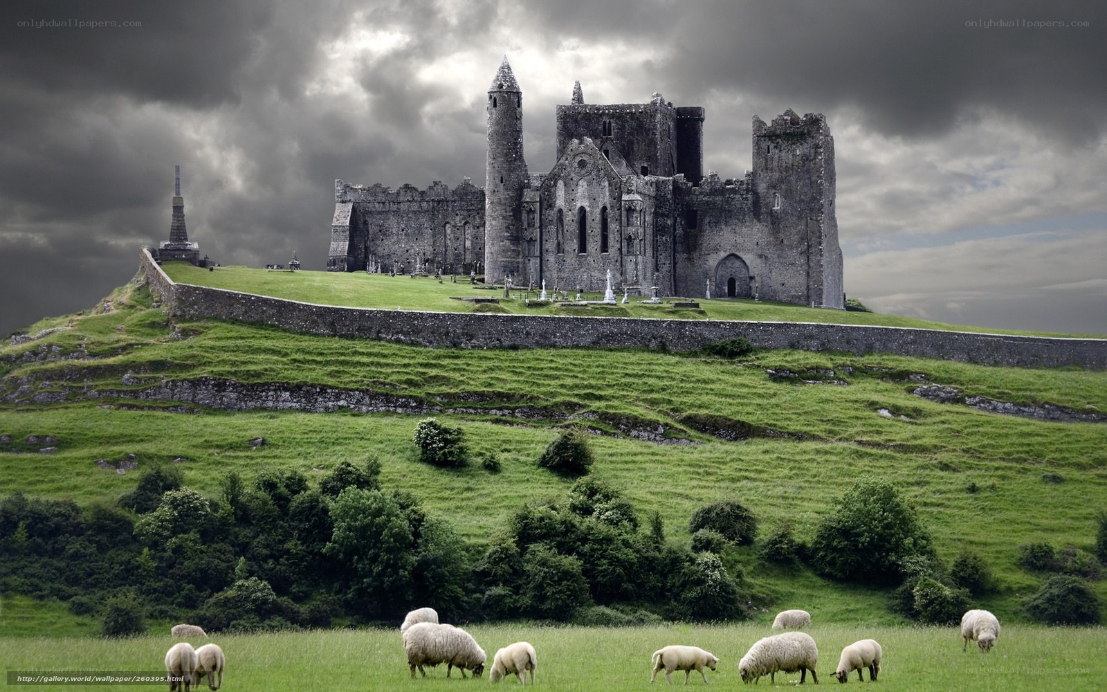 Sheep graze near ancient castle