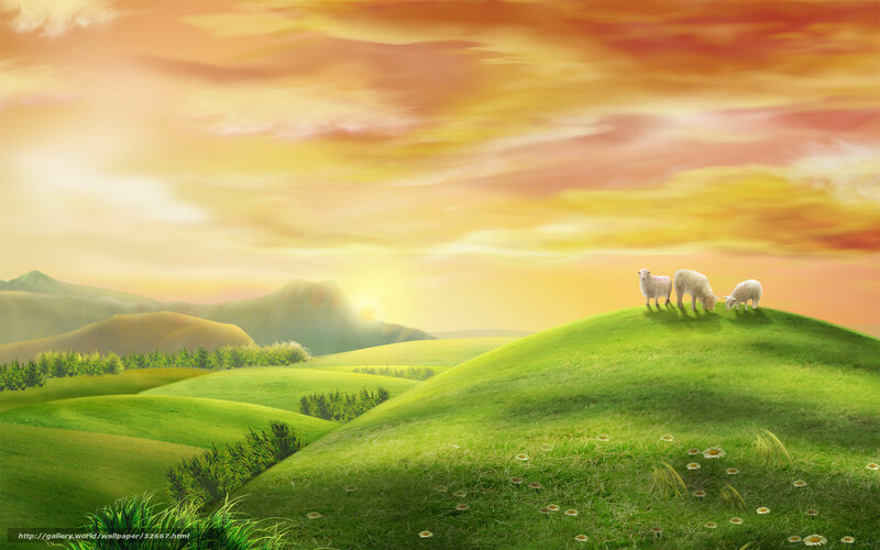 Sheep grazing at sunset