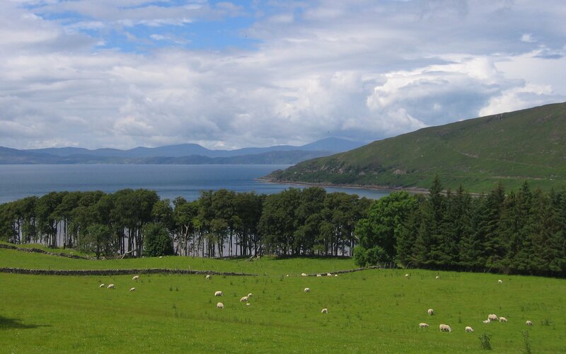 Sheep grazing by a coastal loch