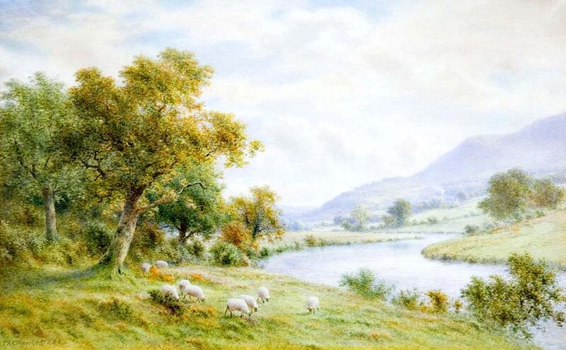 Sheep Grazing by River