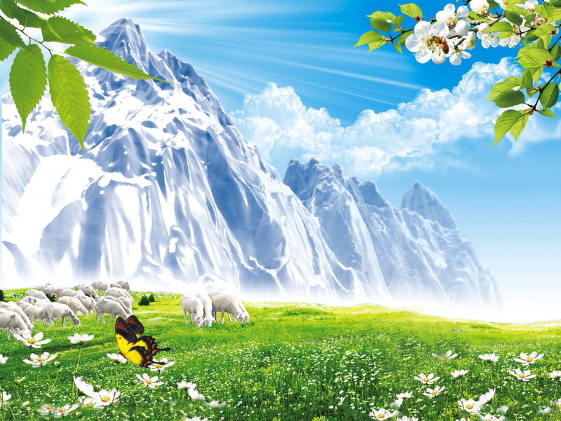 Sheep Grazing in Field — Green, Serene, Spring, Digital Art
