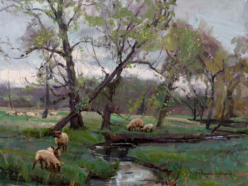 Sheep Grazing in Field — Green, Serene, Spring