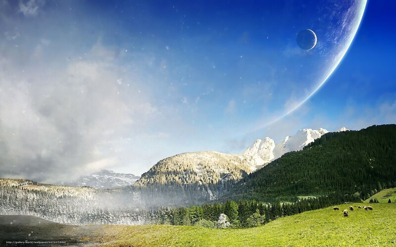 Sheep Grazing in Valley — Blue