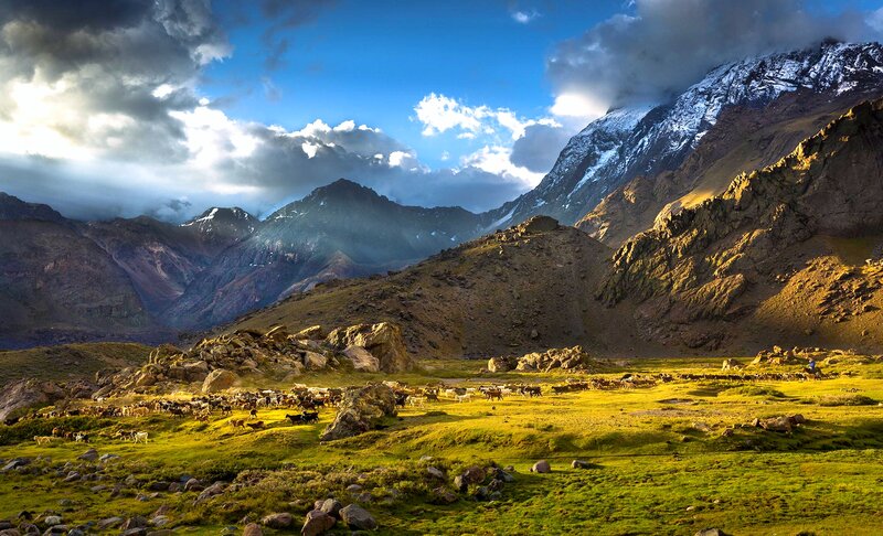 Sheep Grazing in Valley — Green, Dramatic