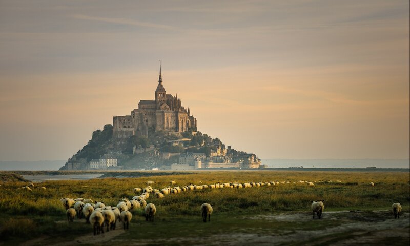 Sheep Grazing Near Abbey — Green