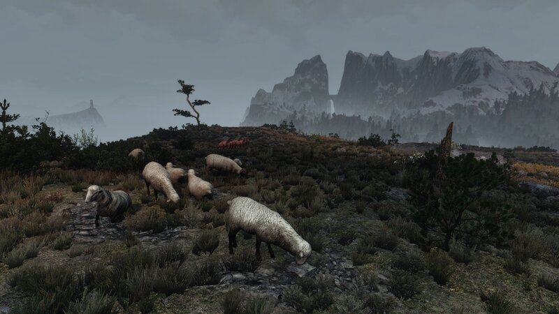 Sheep Grazing on Hillside — Gray
