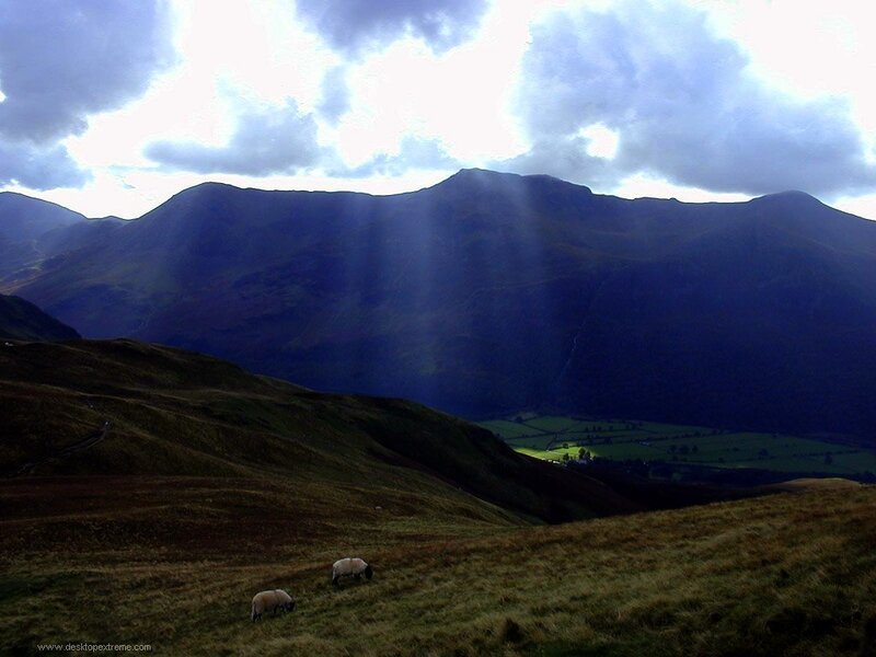 Sheep Grazing on Hillside — Green, Dramatic