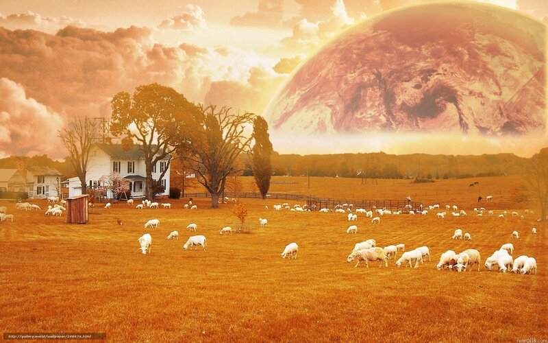 Sheep grazing under alien planet