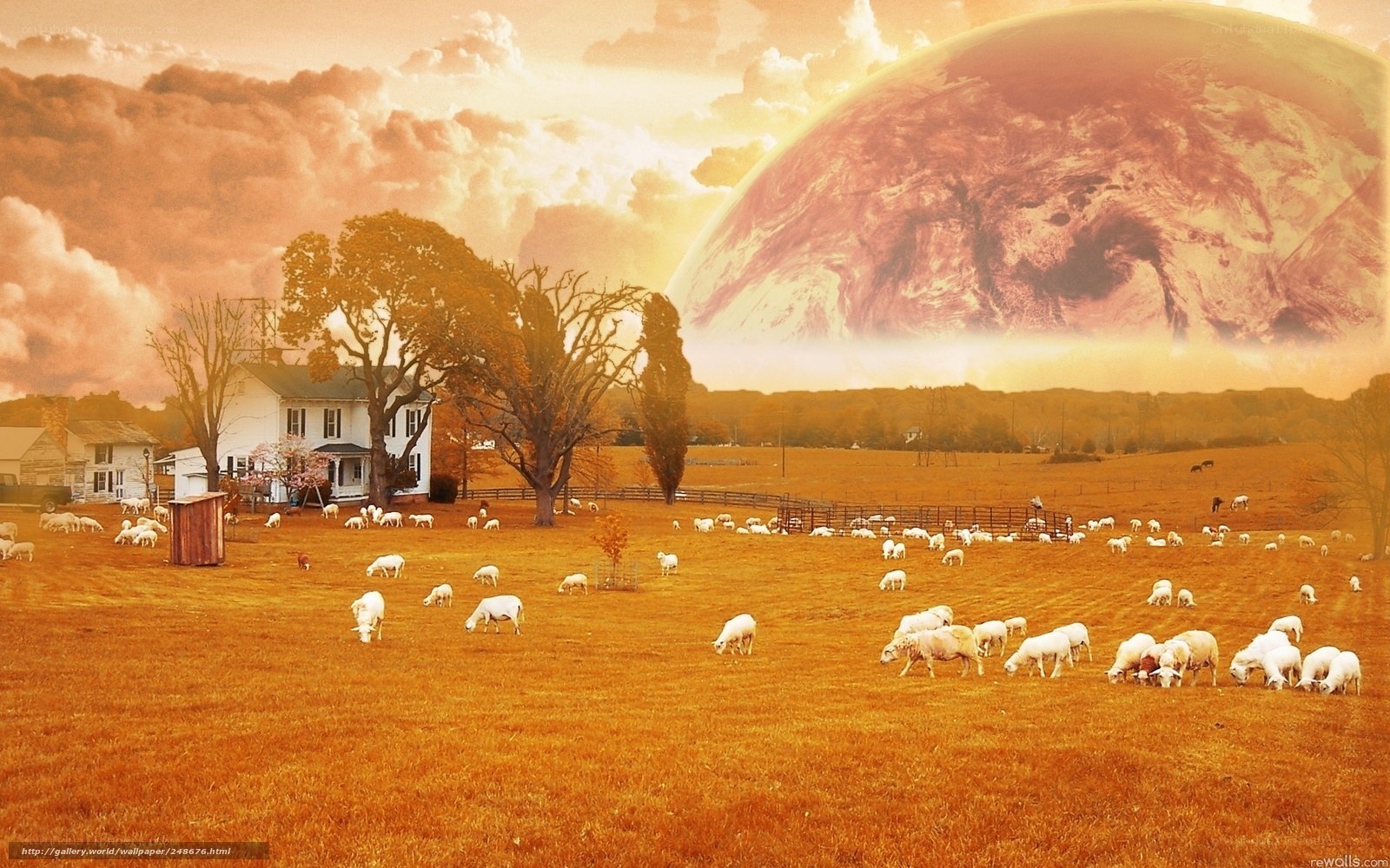 Sheep grazing under alien planet
