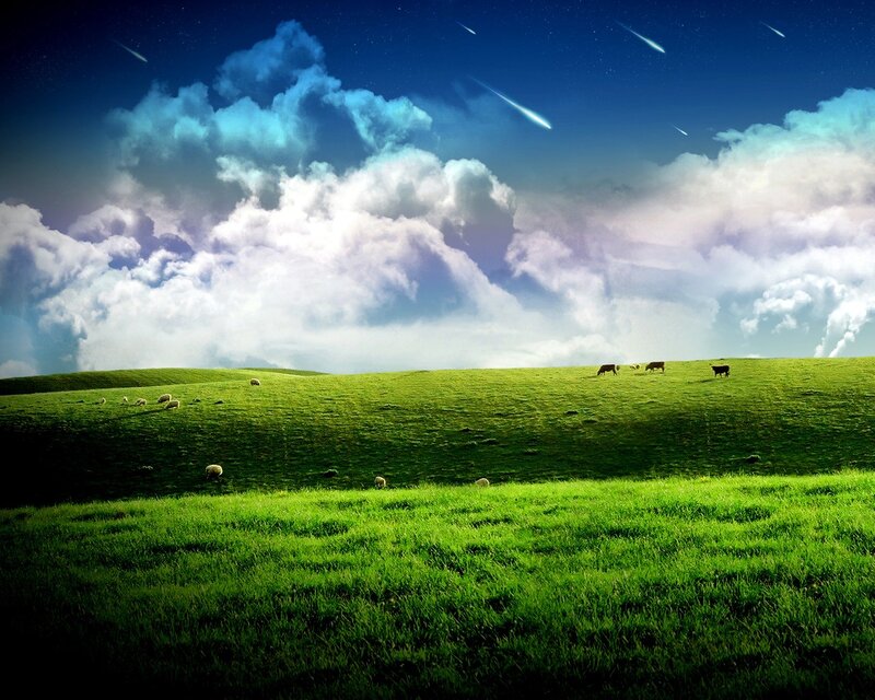 Sheep grazing under shooting stars