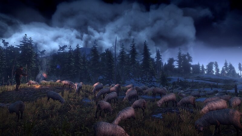 Sheep Herd at Night