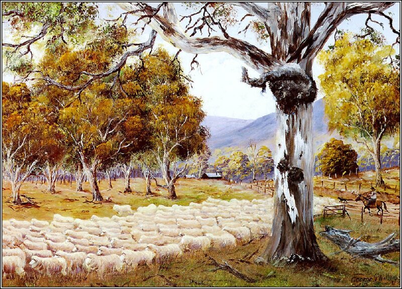 Sheep Herd in Field — Green, Serene