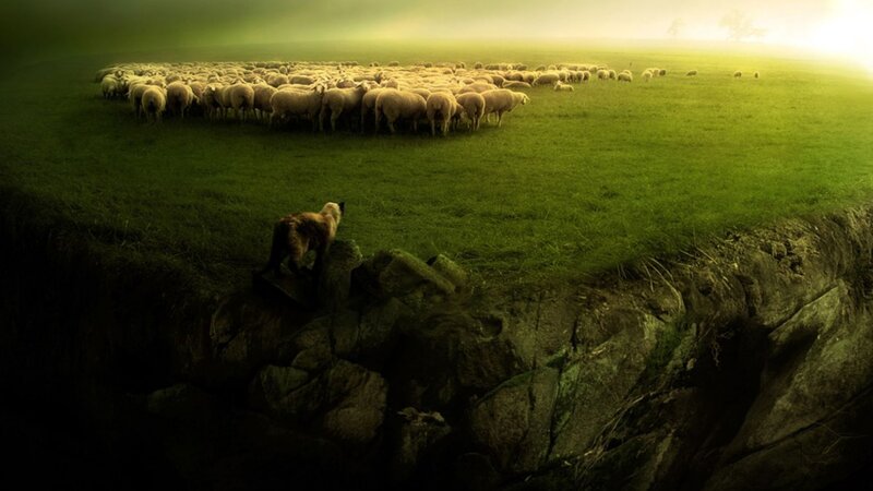 Sheep Herd on Hillside — Green, Dramatic, Sunset, Digital Art