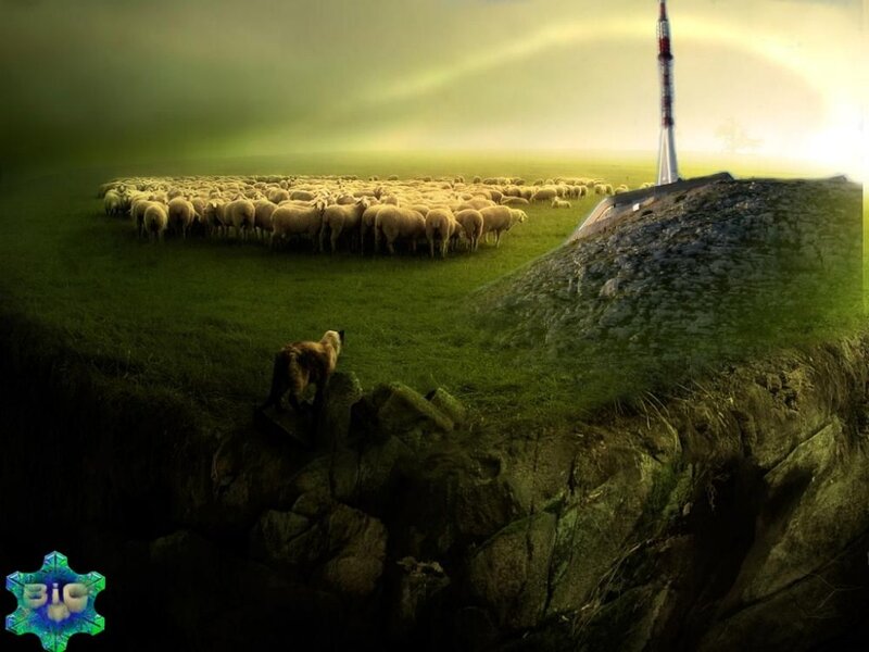 Sheep Herd on Hillside — Green, Dramatic, Sunset