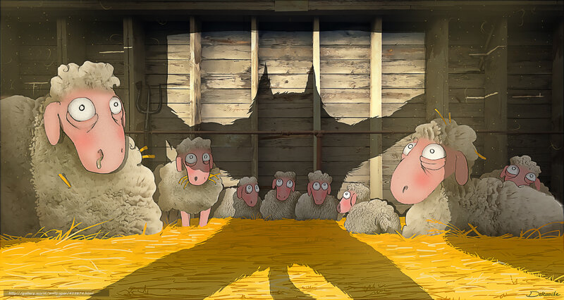 Sheep in a barn