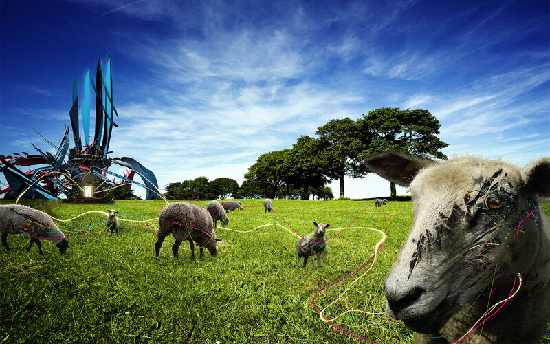 Sheep in a digital field