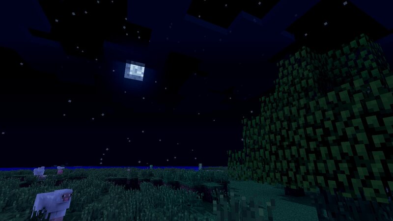 Sheep in a Field — Green, Calm, Night