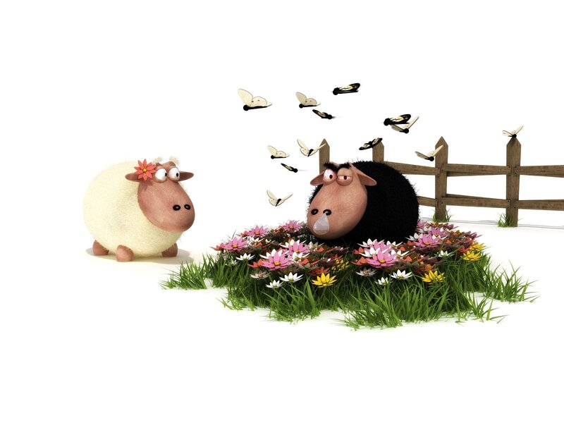 Sheep in a flower patch