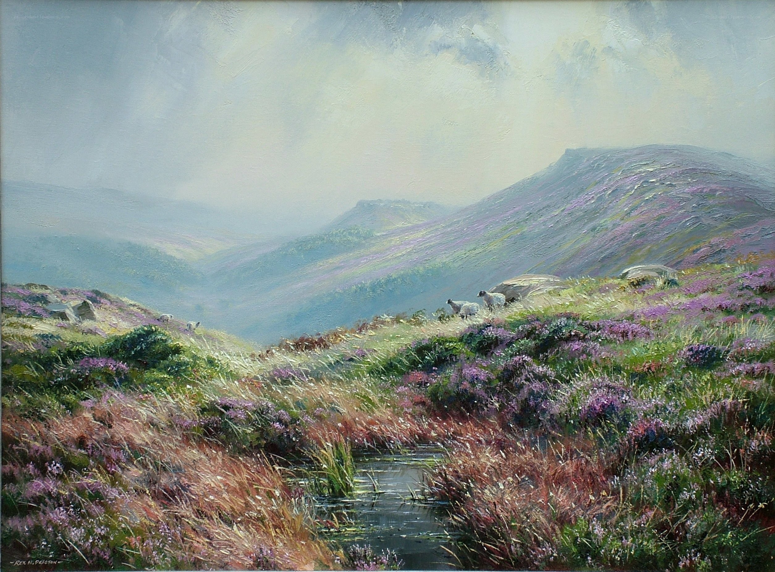 Sheep in a heather-covered valley