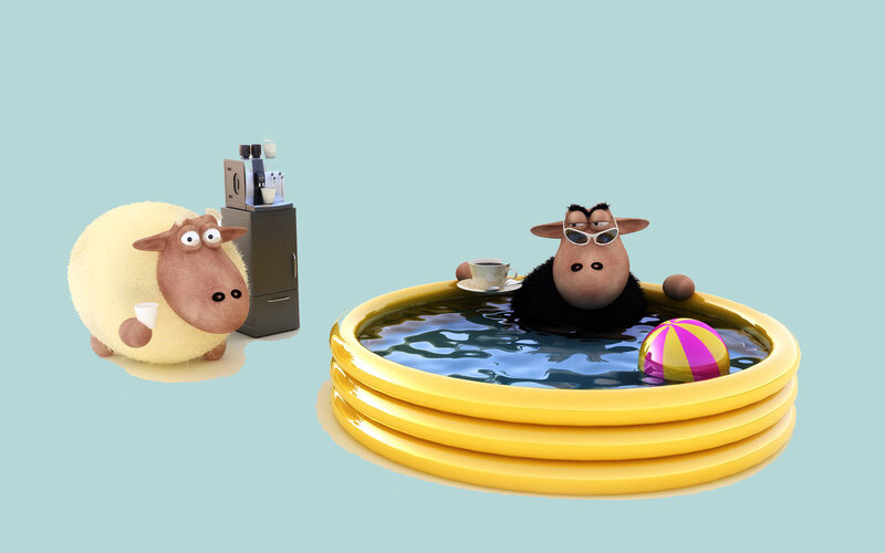 Sheep in a pool scene