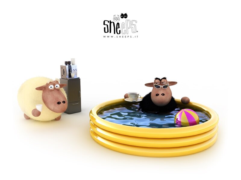 Sheep in a pool