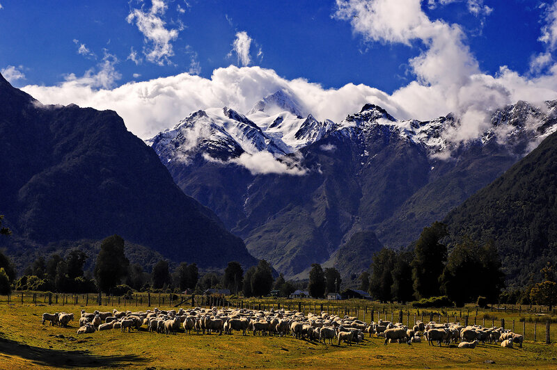 Sheep in a Valley — Blue, Dramatic