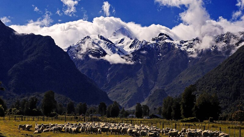 Sheep in a Valley — Blue