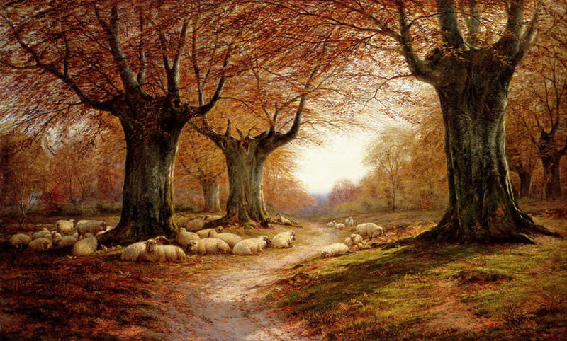 Sheep in Autumn Forest