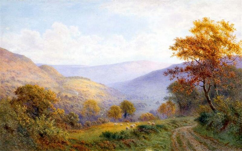 Sheep in Autumn Valley