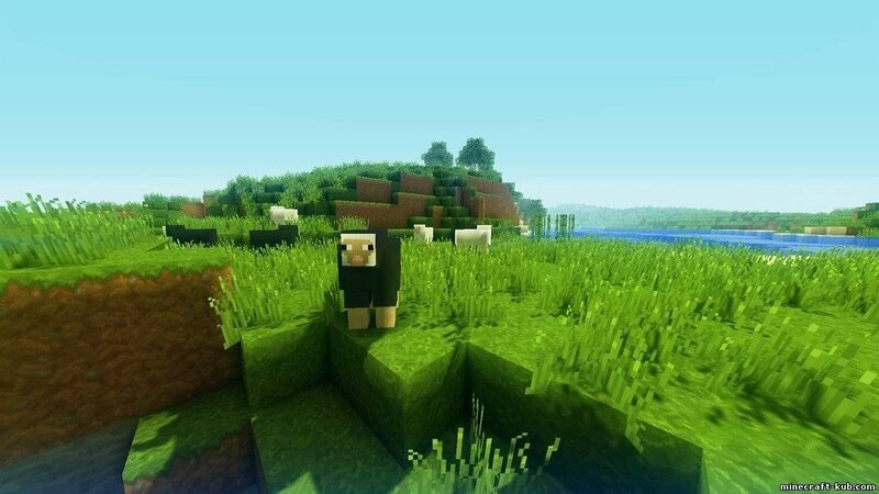 Sheep in Grassy Field — Green