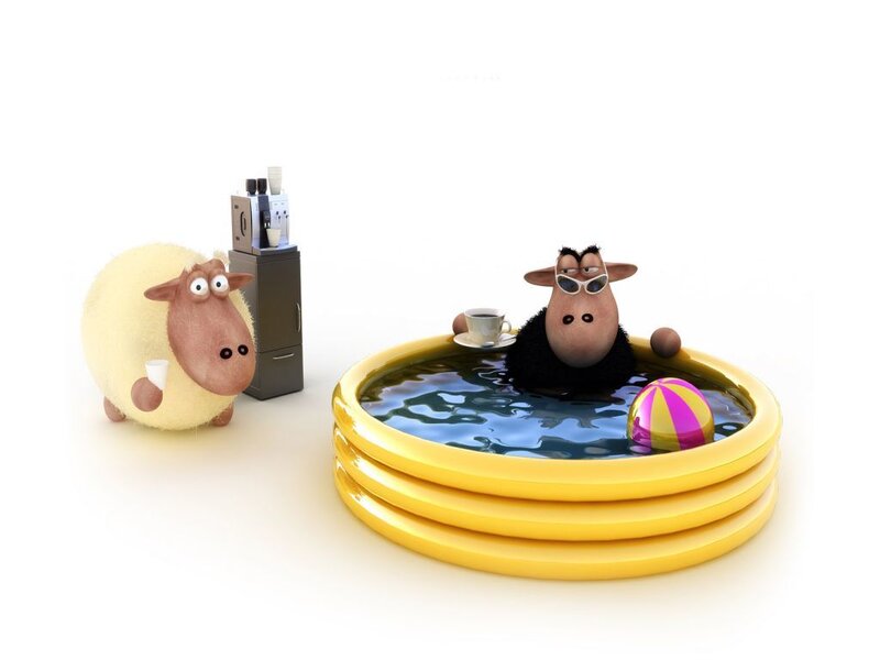 Sheep in Pool