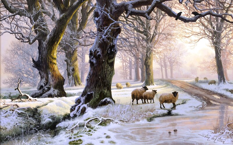 Sheep in Snowy Forest