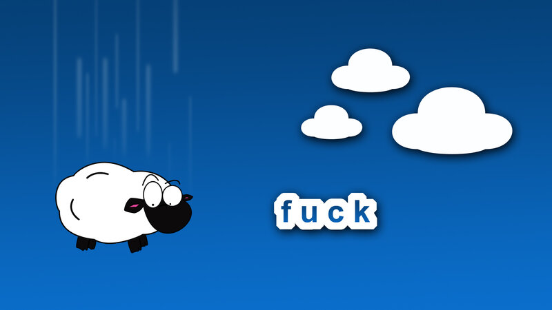 sheep in the rain