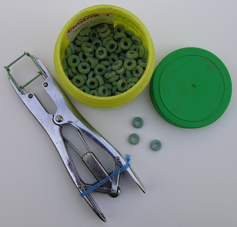 sheep marking tools