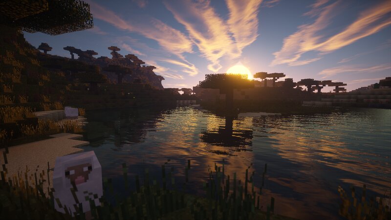 Sheep Near a Lake