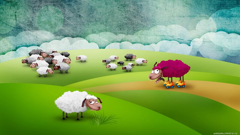 sheep on a green hill