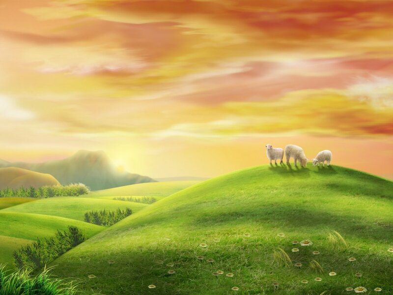 Sheep on a Hill — Green, Serene, Sunset, Digital Art