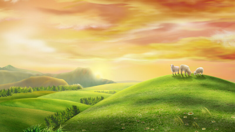 Sheep on a Hill — Green, Serene, Sunset